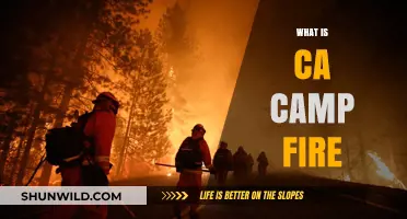 Understanding the CA Camp Fire: Causes, Impact, and Recovery Efforts