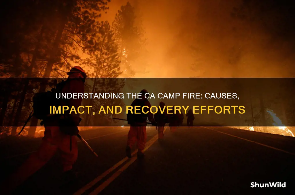 what is ca camp fire