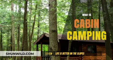 Discover the Cozy Adventure of Cabin Camping: A Beginner's Guide
