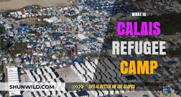 Calais Refugee Camp: Understanding the Crisis and Its Impact