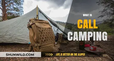 Understanding Call Camping: Tactics, Risks, and How to Protect Your Business
