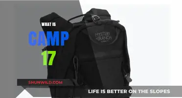 Unveiling the Mystery: Exploring the Enigmatic Camp 17