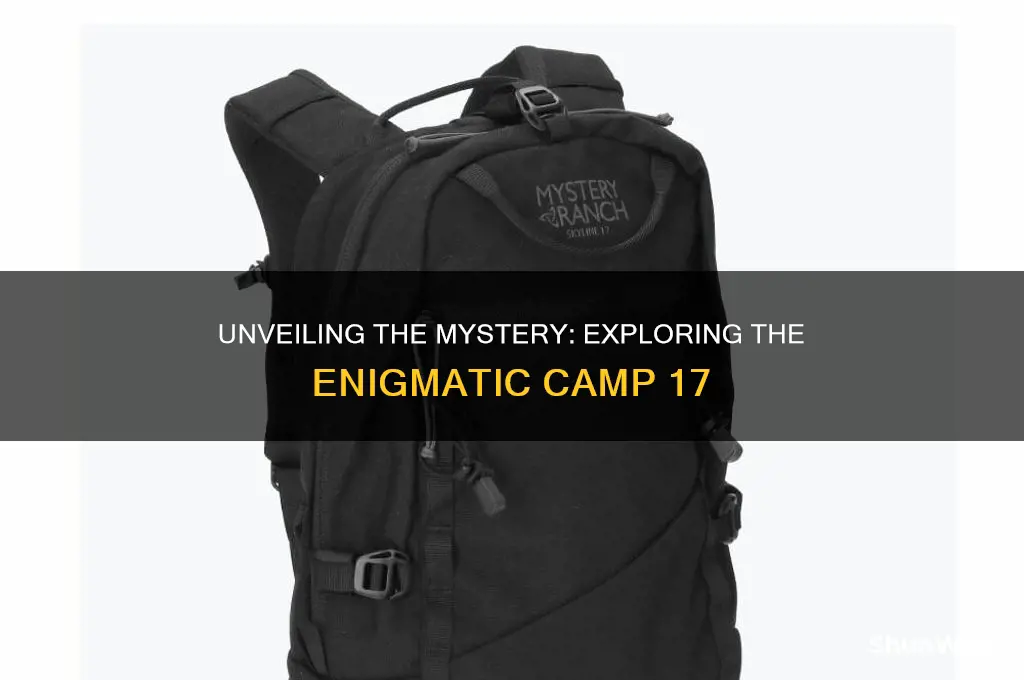 what is camp 17