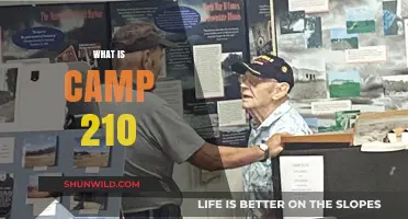 Unveiling Camp 210: Exploring Its Purpose, History, and Significance