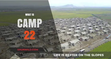 Unveiling the Dark Secrets of North Korea's Camp 22
