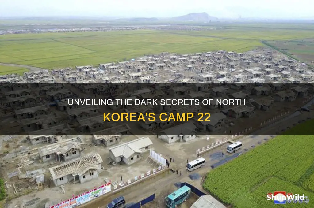 what is camp 22