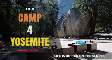 Exploring Camp 4 Yosemite: A Climber's Paradise in the Valley