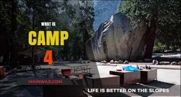 Exploring Camp 4: Yosemite's Iconic Climber Haven Unveiled