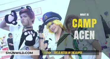 Discover Camp ACEN: Anime, Cosplay, and Epic Nerd Adventures Explained