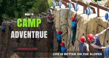 Exploring Camp Adventure: Thrilling Outdoor Experiences and Unforgettable Memories