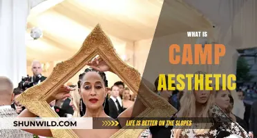 Exploring Camp Aesthetic: Exaggeration, Irony, and Playful Excess Explained