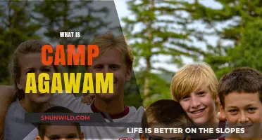 Discover Camp Agawam: A Timeless Summer Adventure for Boys