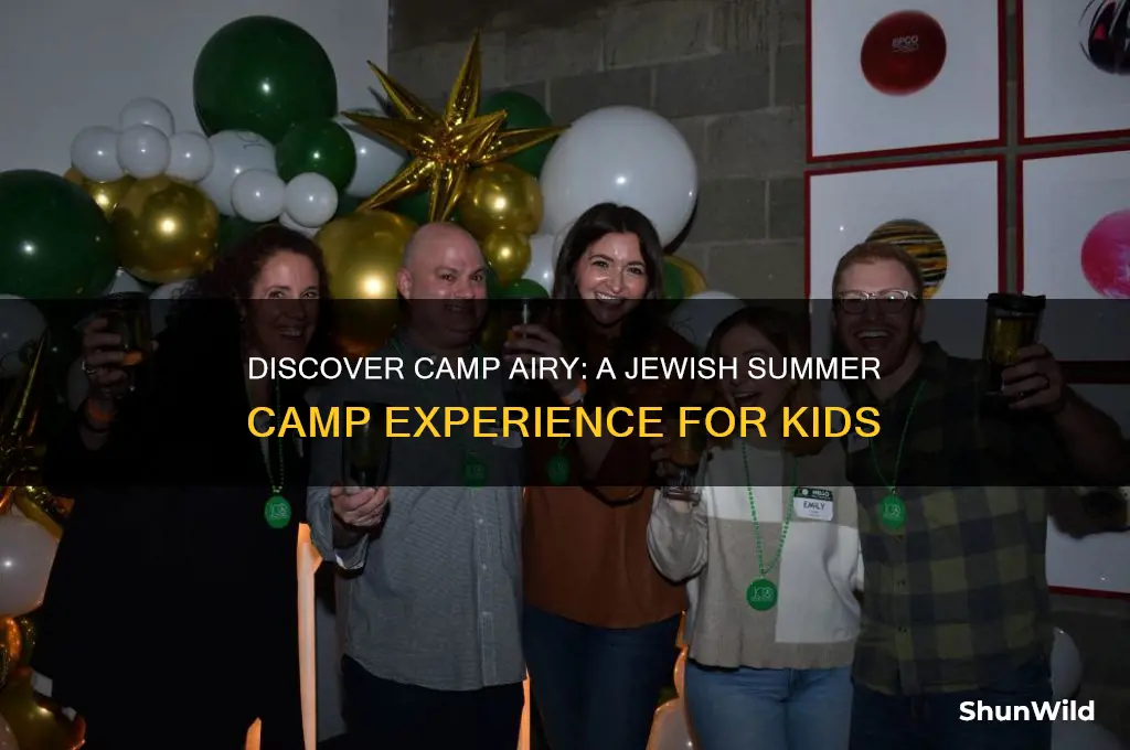 what is camp airy