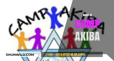 Discover Camp Akiba: A Jewish Summer Camp Experience Like No Other