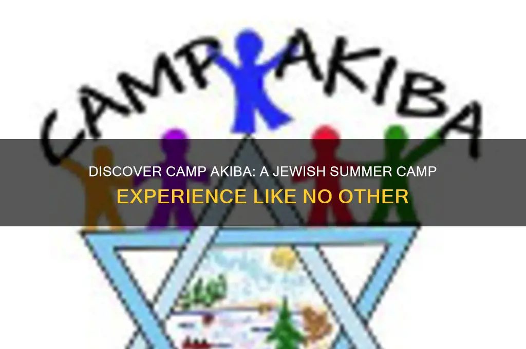 what is camp akiba