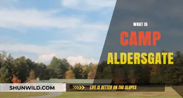 Discover Camp Aldersgate: A Haven for Growth, Fun, and Community