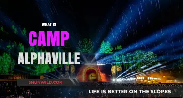 Exploring Camp Alphaville: A Unique Festival Experience Unveiled