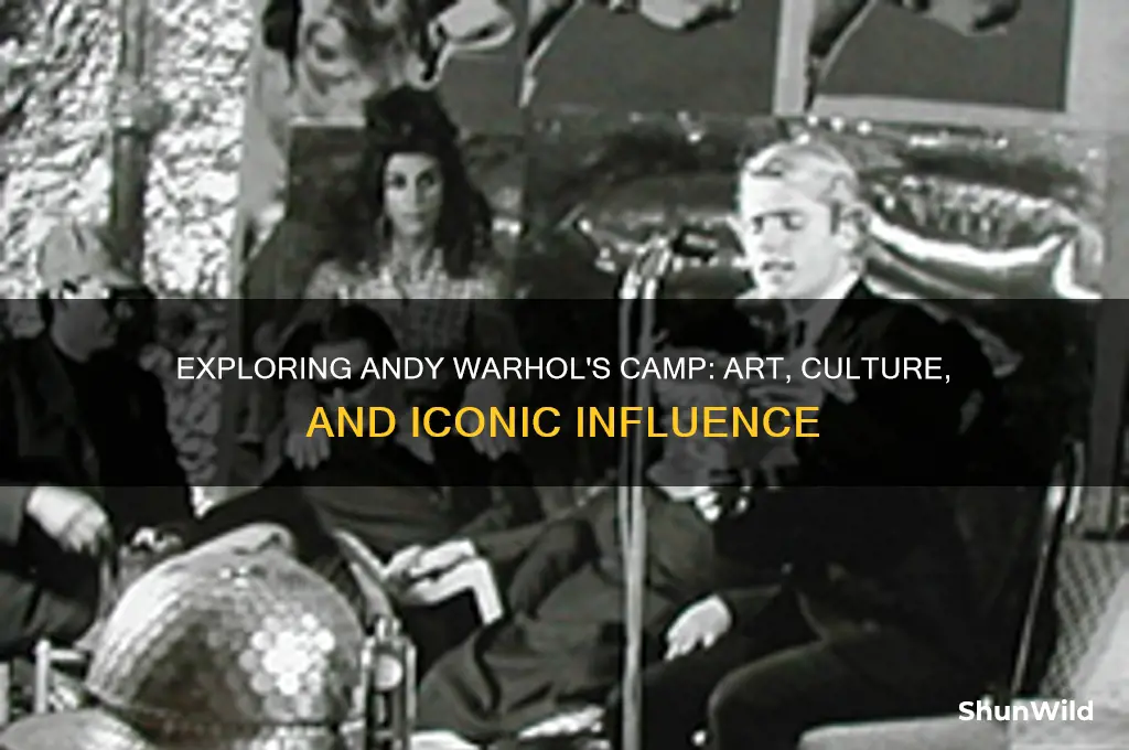 what is camp andy warhol