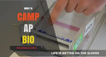 Exploring Camp AP Bio: A Unique Summer Learning Adventure