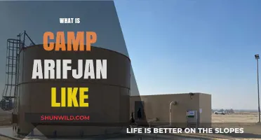 Exploring Camp Arifjan: Life, Facilities, and Experiences at the Base