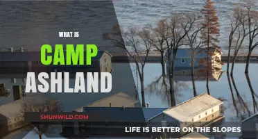 Exploring Camp Ashland: Nebraska's Premier National Guard Training Site