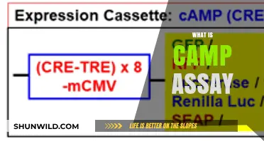 Understanding Camp Assay: A Comprehensive Guide to Its Uses and Benefits