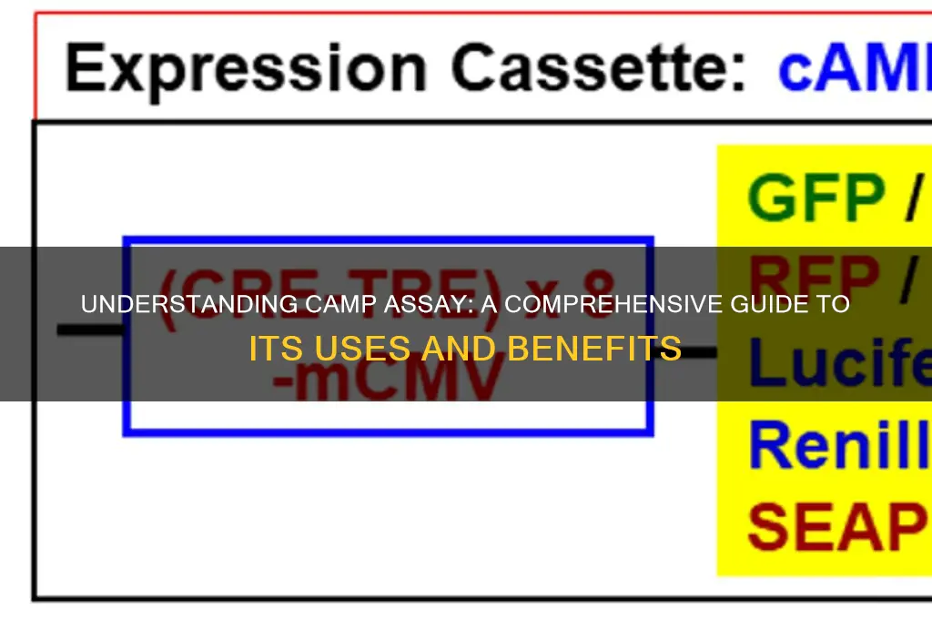 what is camp assay