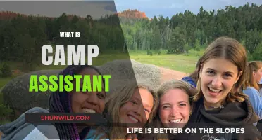 Understanding the Role and Responsibilities of a Camp Assistant