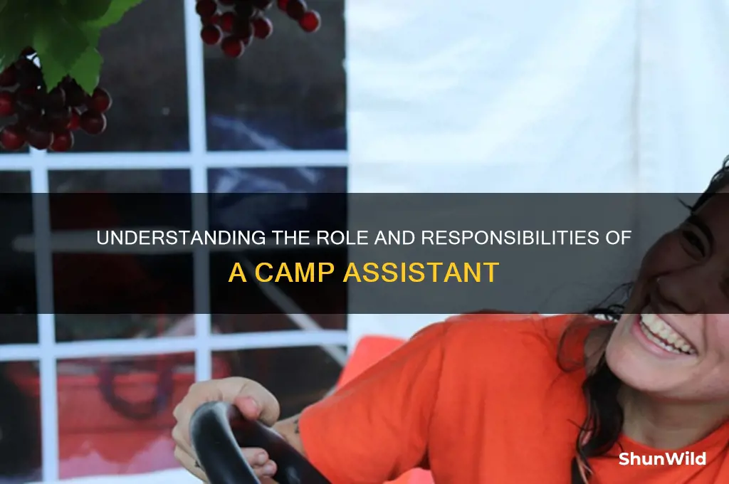 what is camp assistant