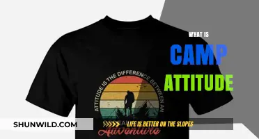 Understanding Camp Attitude: Embracing Exaggeration, Irony, and Playful Style