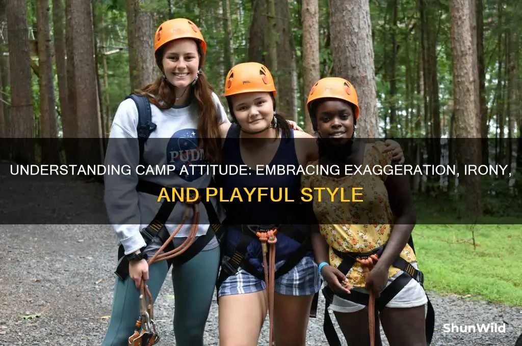 what is camp attitude
