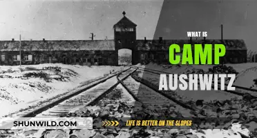 Understanding Camp Auschwitz: History, Horrors, and Lasting Legacy Explained