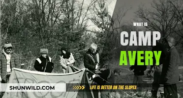 Discover Camp Avery: History, Purpose, and Impact Explained