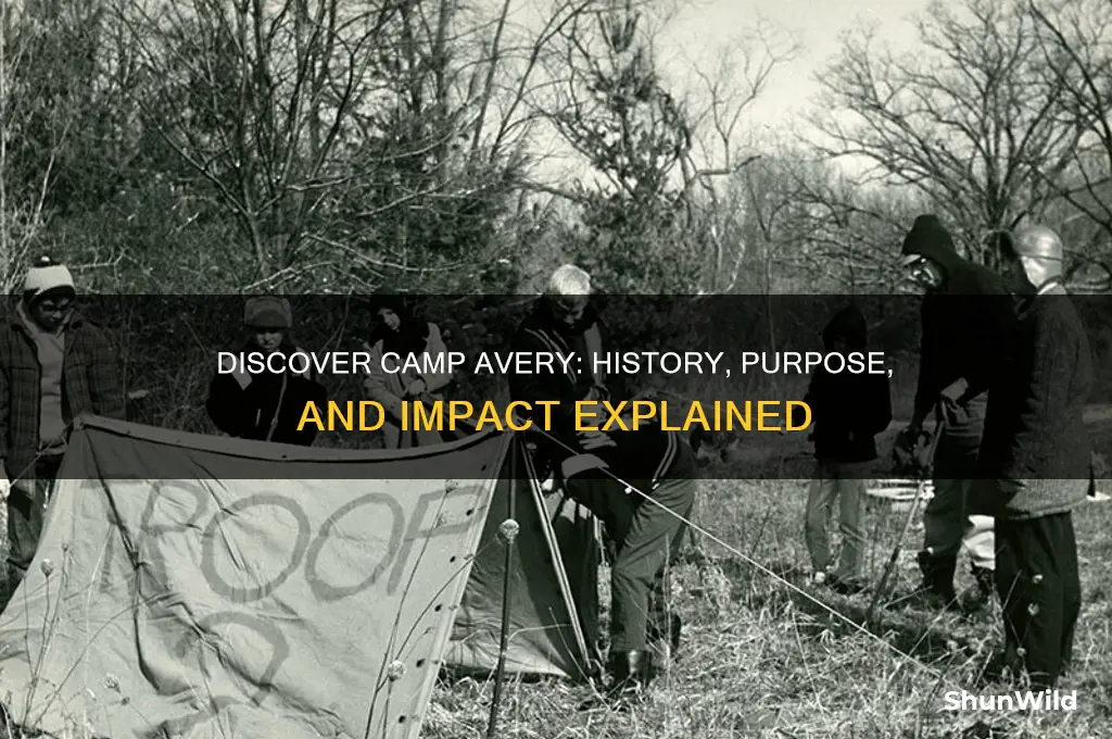 what is camp avery