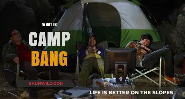 Unveiling Camp Bang: Exploring the Phenomenon and Its Cultural Impact