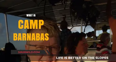 Discover Camp Barnabas: A Life-Changing Christian Ministry for Special Needs