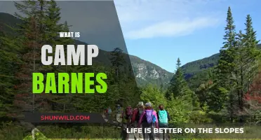 Exploring Camp Barnes: A Unique Outdoor Adventure Experience Revealed