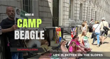Unveiling Camp Beagle: A Deep Dive into Its Purpose and Impact