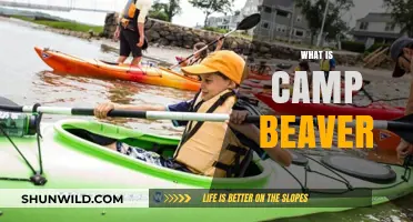 Discover Camp Beaver: A Unique Outdoor Adventure Experience Explained
