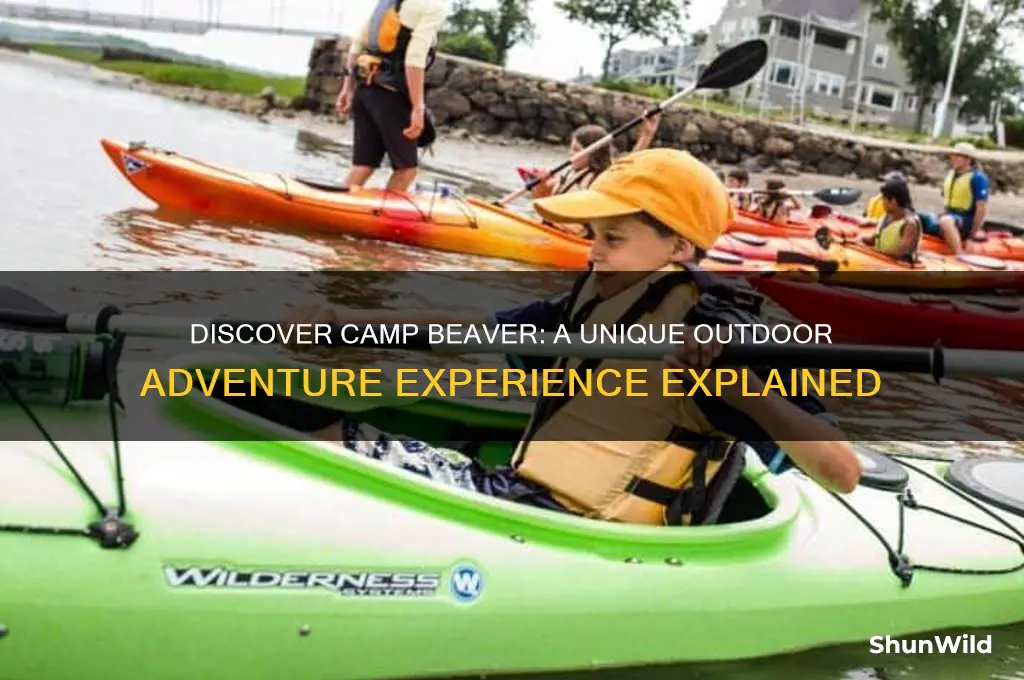 what is camp beaver