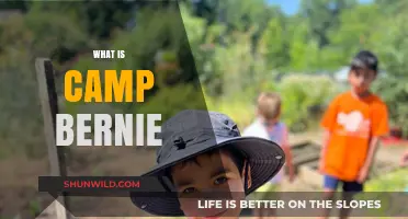 Exploring Camp Bernie: A Unique Summer Adventure for Kids