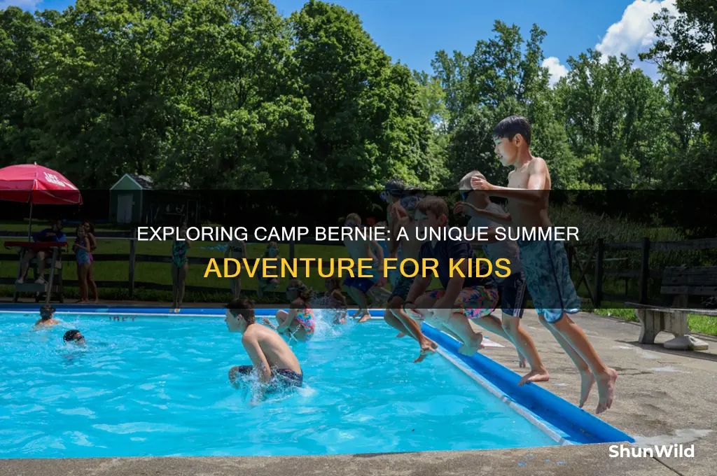what is camp bernie