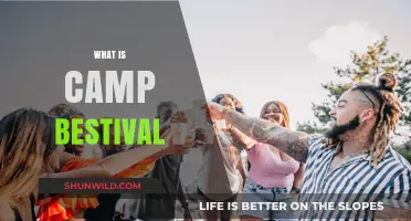 Discover Camp Bestival: Family-Friendly Music, Fun, and Festival Magic