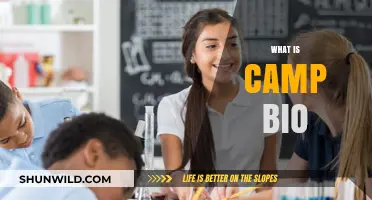 Exploring Camp Bio: Unveiling the Unique Summer Camp Experience