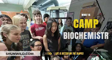 Exploring Camp Biochemistry: Unlocking the Science Behind Summer Fun