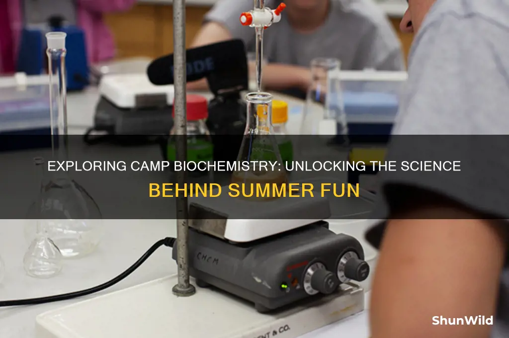 what is camp biochemistry