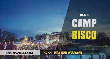Exploring Camp Bisco: A Fusion of Music, Art, and Community