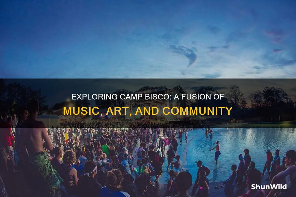 what is camp bisco