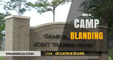 Exploring Camp Blanding: Florida's Historic Military Training Hub