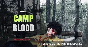 Unveiling the Gory Legend of Camp Blood: A Slasher Saga